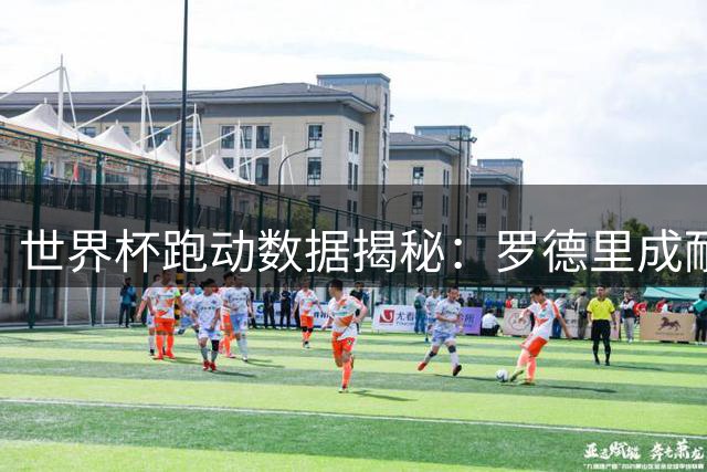 世界杯跑动数据揭秘：罗德里成耐力王 法国新星奥利塞爆发力惊人